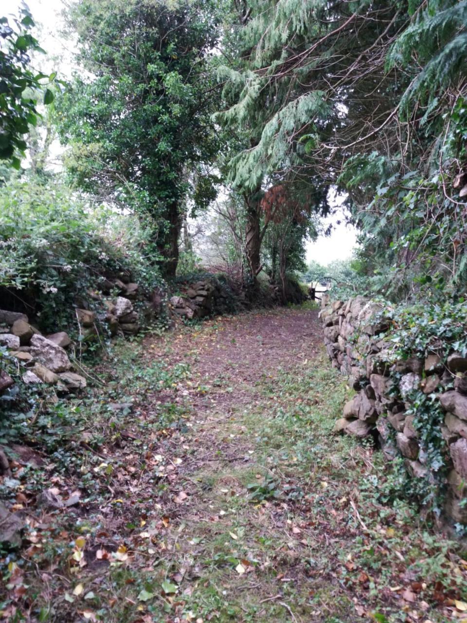 Macreddin Rock Bed & Breakfast 奥赫里姆 外观 照片